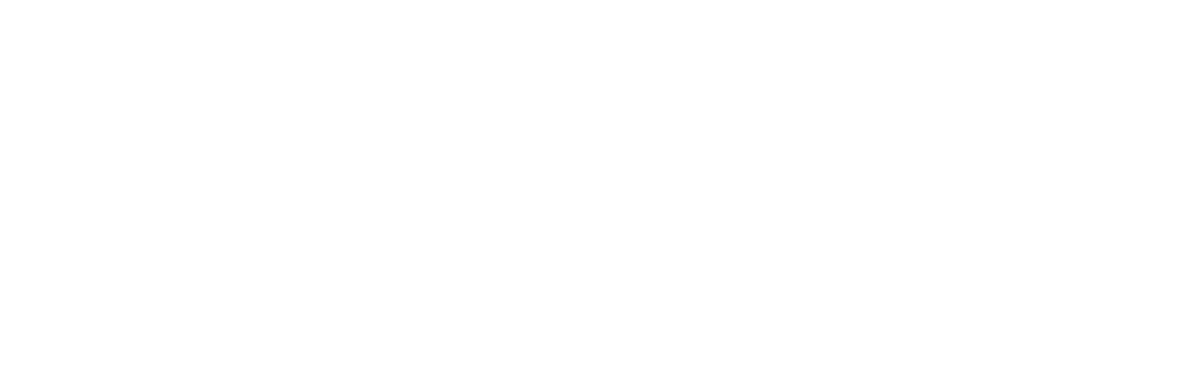 Arabo Insurance Group