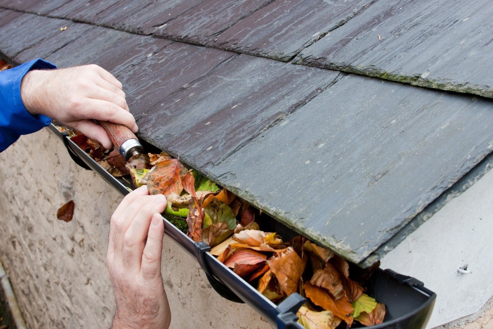 10 overlooked home projects - cleaning leaves from the gutters.