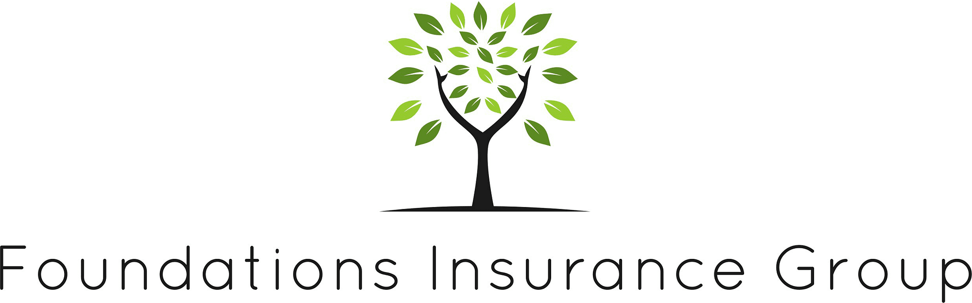 Foundations Insurance Group, LLC Insuring Stone Mountain &