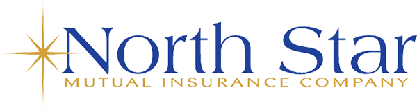 North Star Mutual Insurance Logo