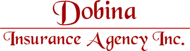 Dobina Ins Logo