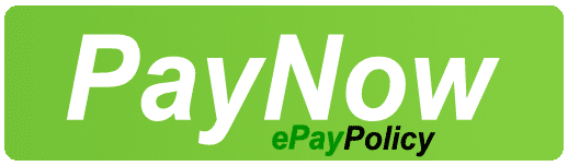 PayNowButtonV1(1)