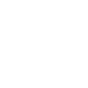 Selzer Insurance Services Logo