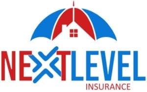 Next-Level-Logo-Final-300×187 Next-Level-Logo-Final-300x187