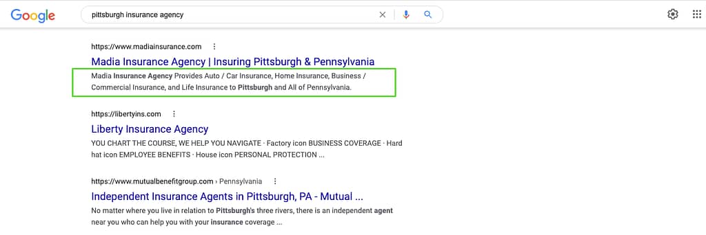 Google search engine results with the description portion of a result circled.