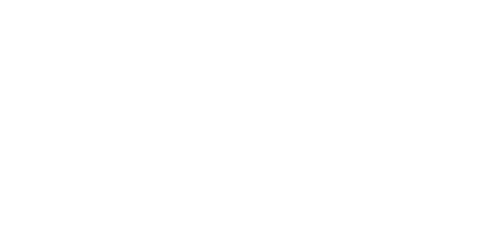 bolt access logo
