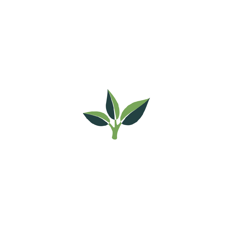small plant header image
