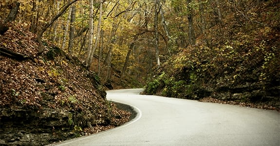 road_through_forest_575x300