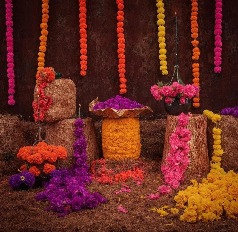 pic4Screenshot 2025-09-09 221611