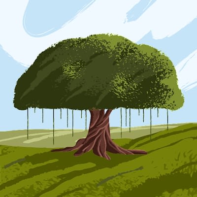 Bodhi Tree