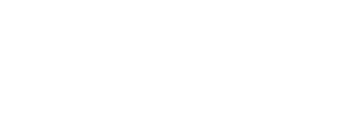 dsaia logo white