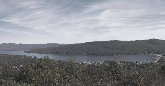 Overview_of_a_river_and_trees_575x300 View of a river and trees