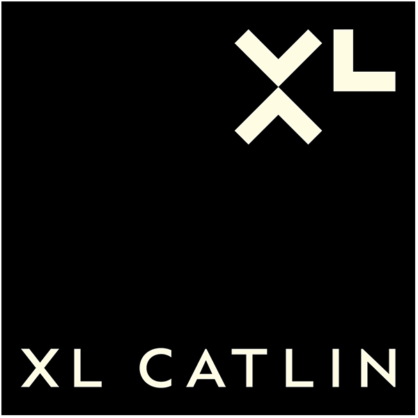 Learn more about BlackFire Cyber Insurance and XL Catlin XL Catlin Logo