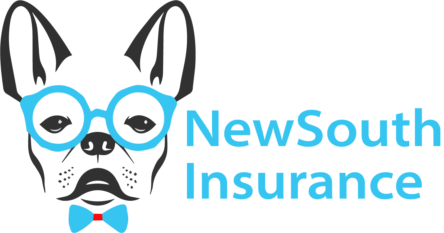 NewSouth-logo