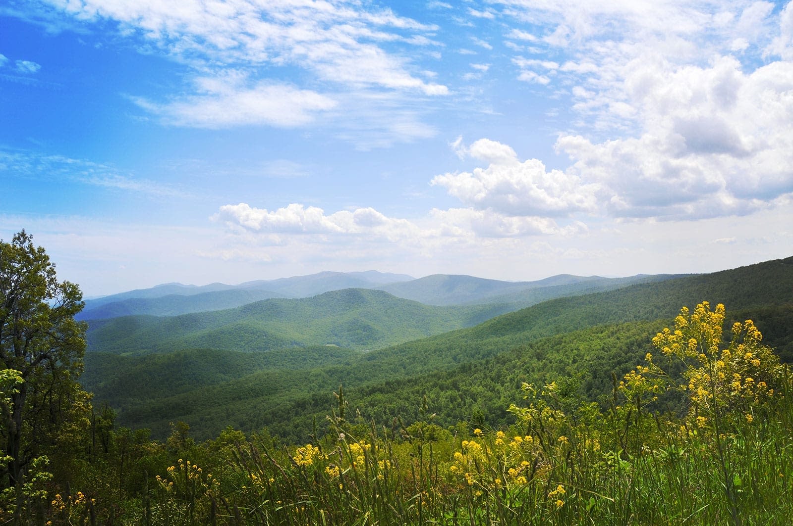 Smokey Mountains