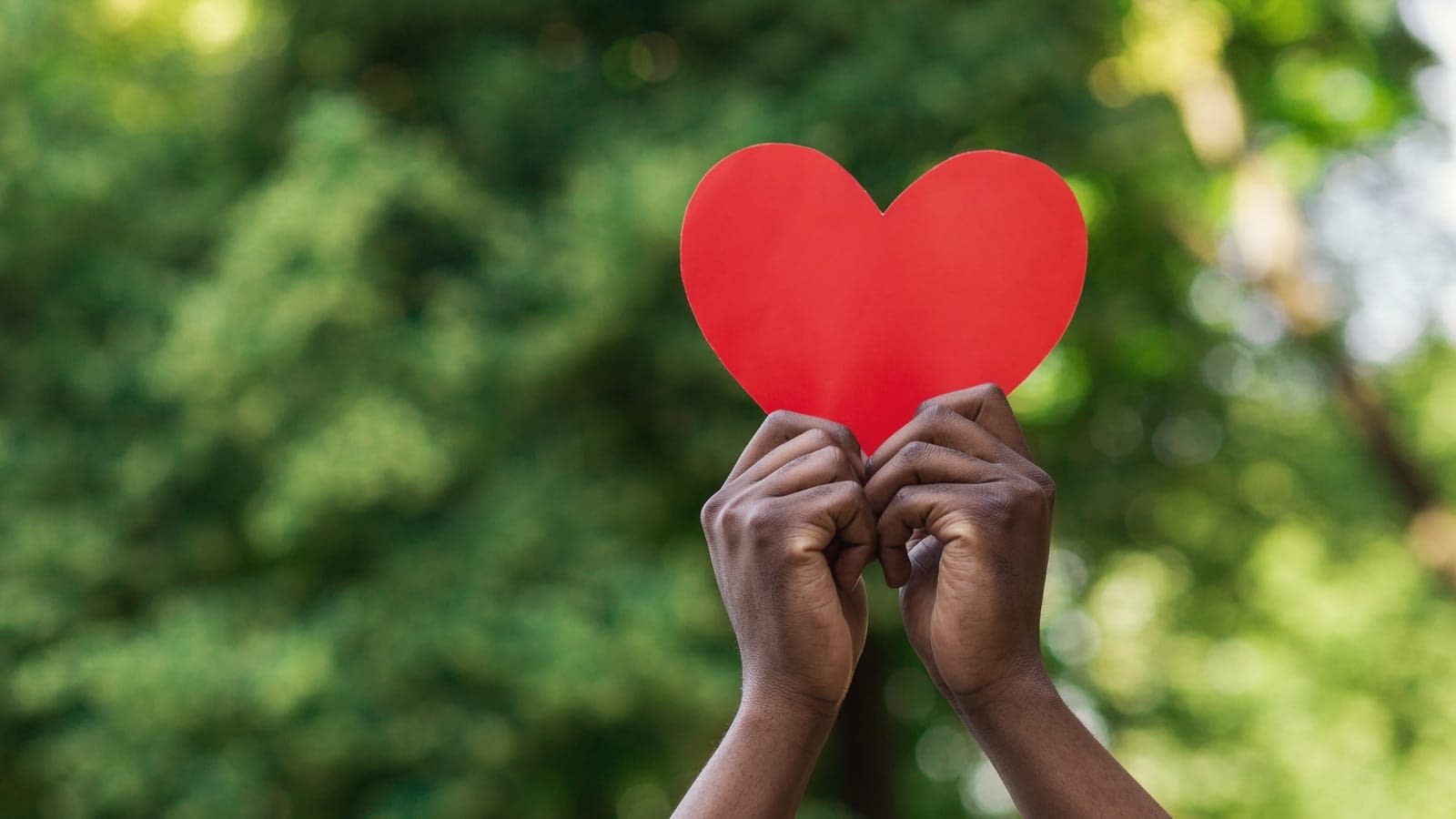 Hands-Holding-Heart-Community.jpg