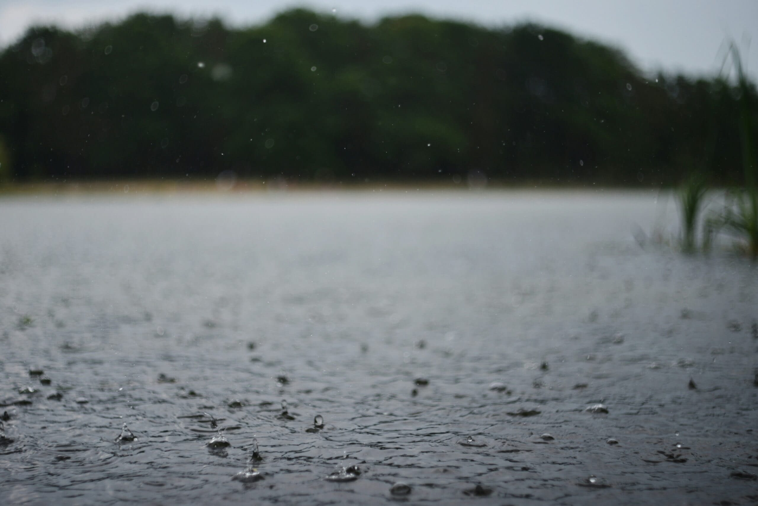 liana-s-mkGkXqtoTqg-unsplash Wind Driven Rain Homeowners Insurance Coastal Contractors Insurance Agency in Wilmington NC