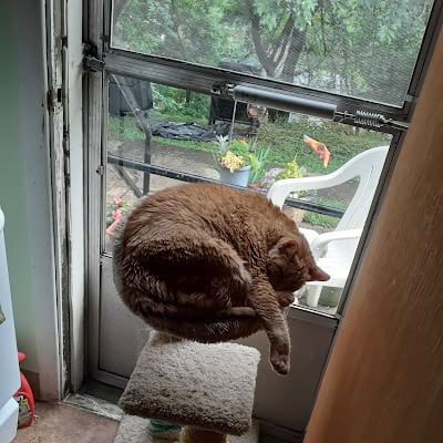 Evelyn Allsberry-Ford