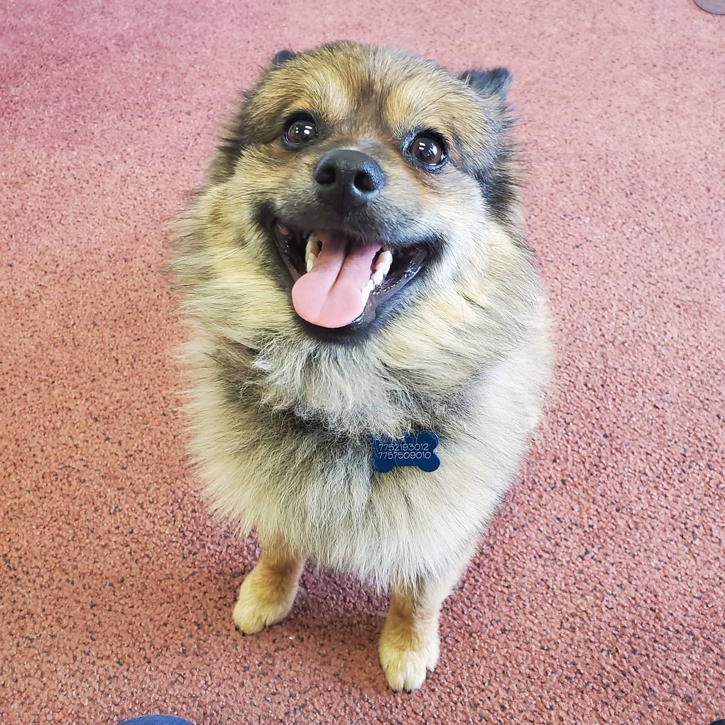 IMG_20200629_101746_467