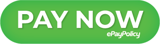 PayNowNew1.png