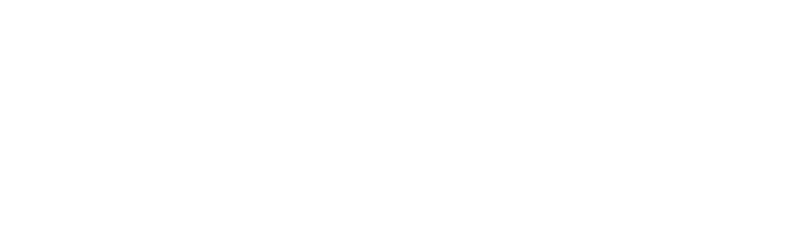 plum-logo-white