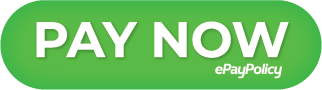PayNowNew1