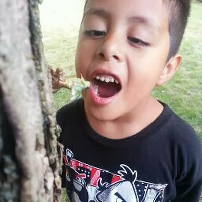 Hector Villa Ramirez