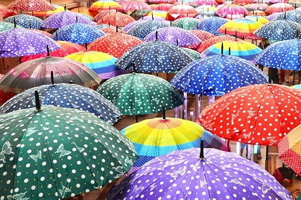 2022_08_09 Personal Umbrella Policy