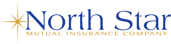 Learn more about All American Insurance Services and North Star Mutual Insurance North Star Mutual Insurance Logo