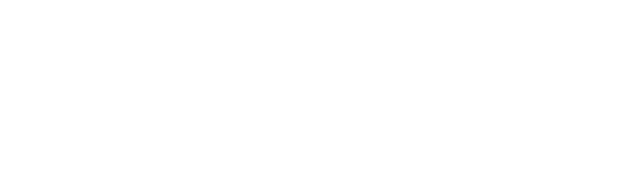 Envision Logo White