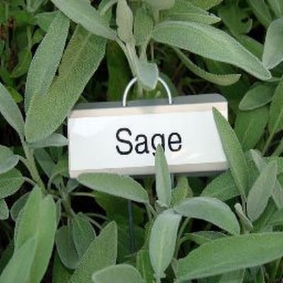 Sage The Rage