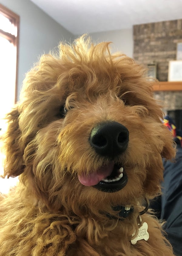 Cooper---Headshot