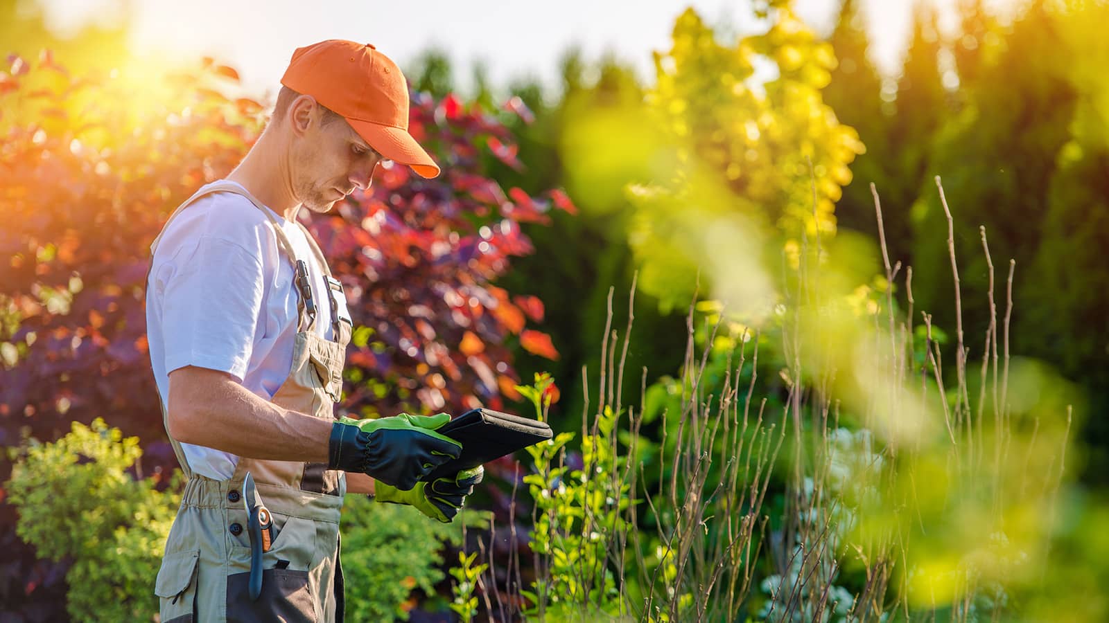 landscaper
