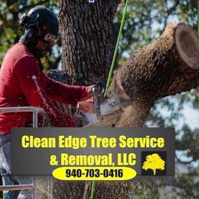 Clean Edge Tree Service & Removal