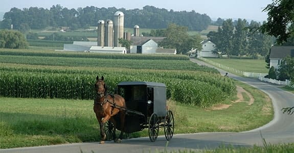 horse_carriage_farmland_575x300