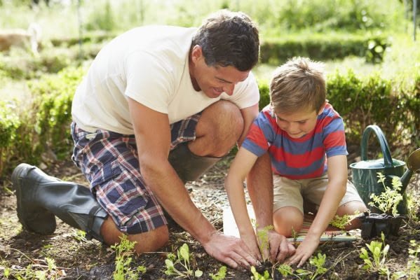 father-son-landscaping.jpg