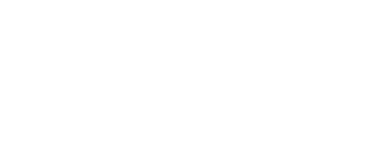 Trusted Choice Logo