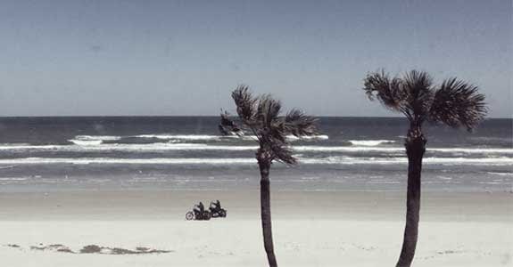 palm_trees_on_a_beach_575x300