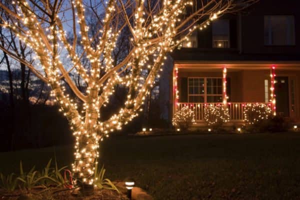 lit-tree-and-house.jpg