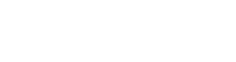 Effective-Insurance-Solutions-logo-white