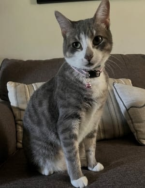 Tucker1