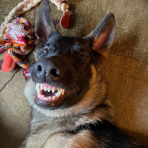 Gunnar
