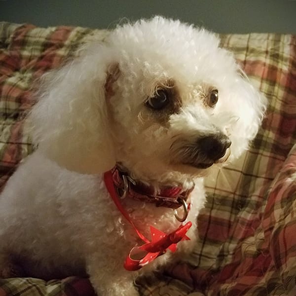 Chloe