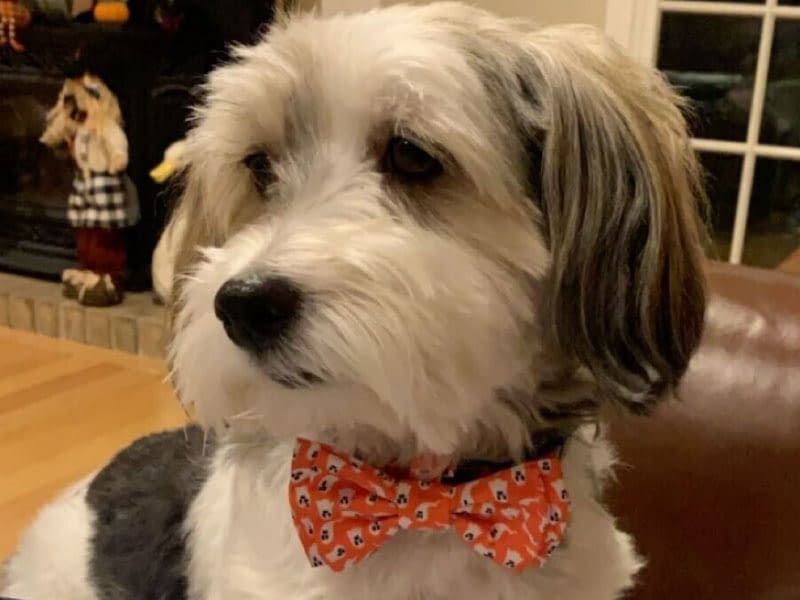 Quincy-headshot_Horz