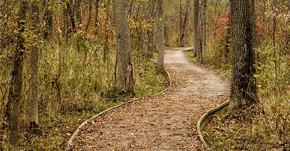 wood-walkway-trail-kettle-moraine-forest-575×300-1