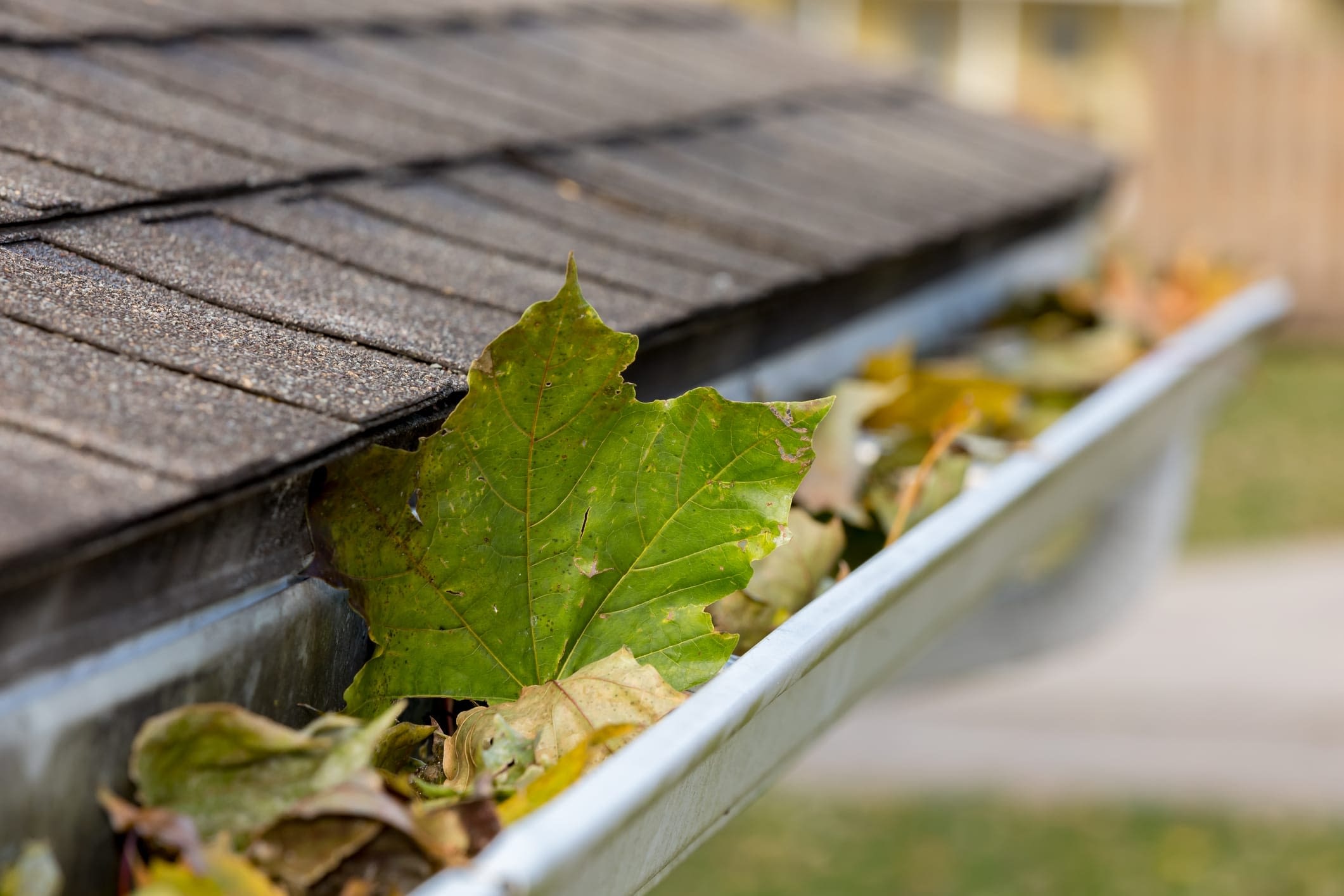 GettyImages-1189383491 Leaves In Gutter