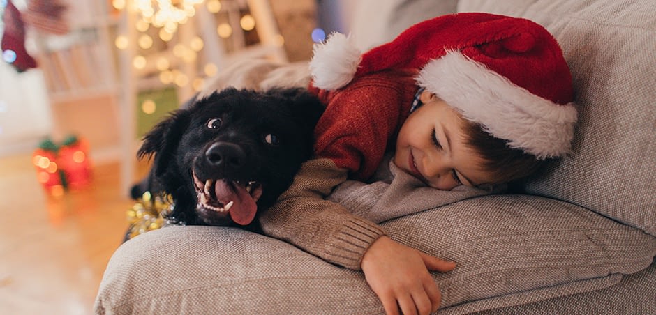 Happy Child On The Couch With Dog