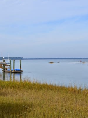 Sandy Covin Sandy Covin photo