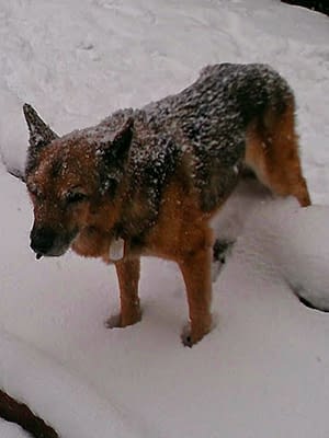 Alan Day Alan Day photo