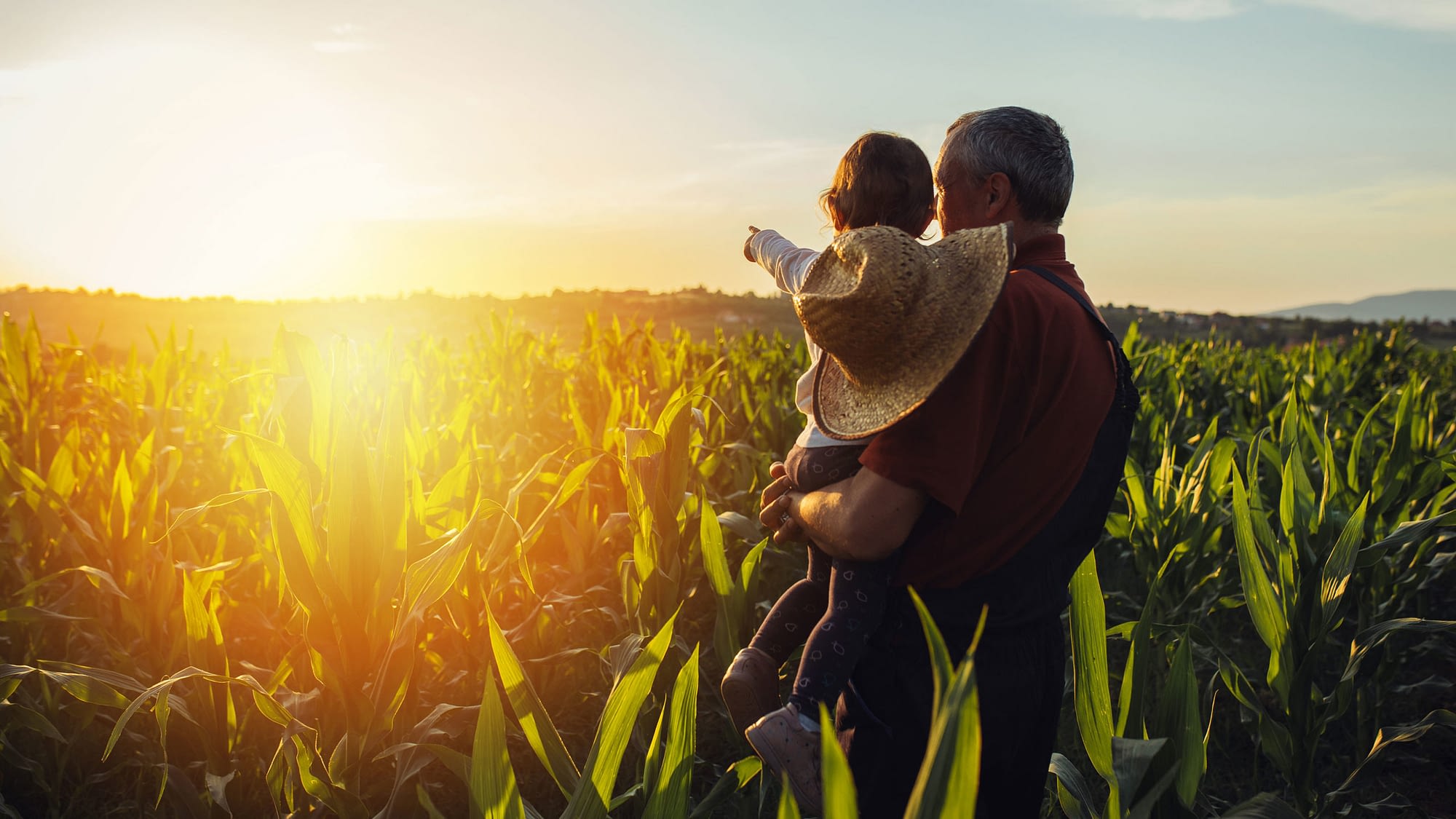 Farmer with grandchild in corn field watching the sunrise.